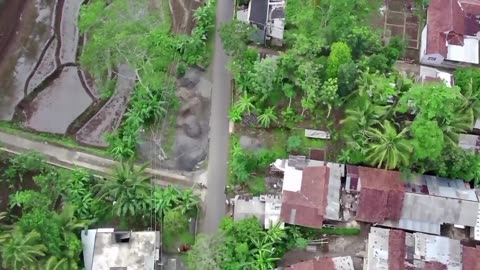 fly leisurely over rural villages