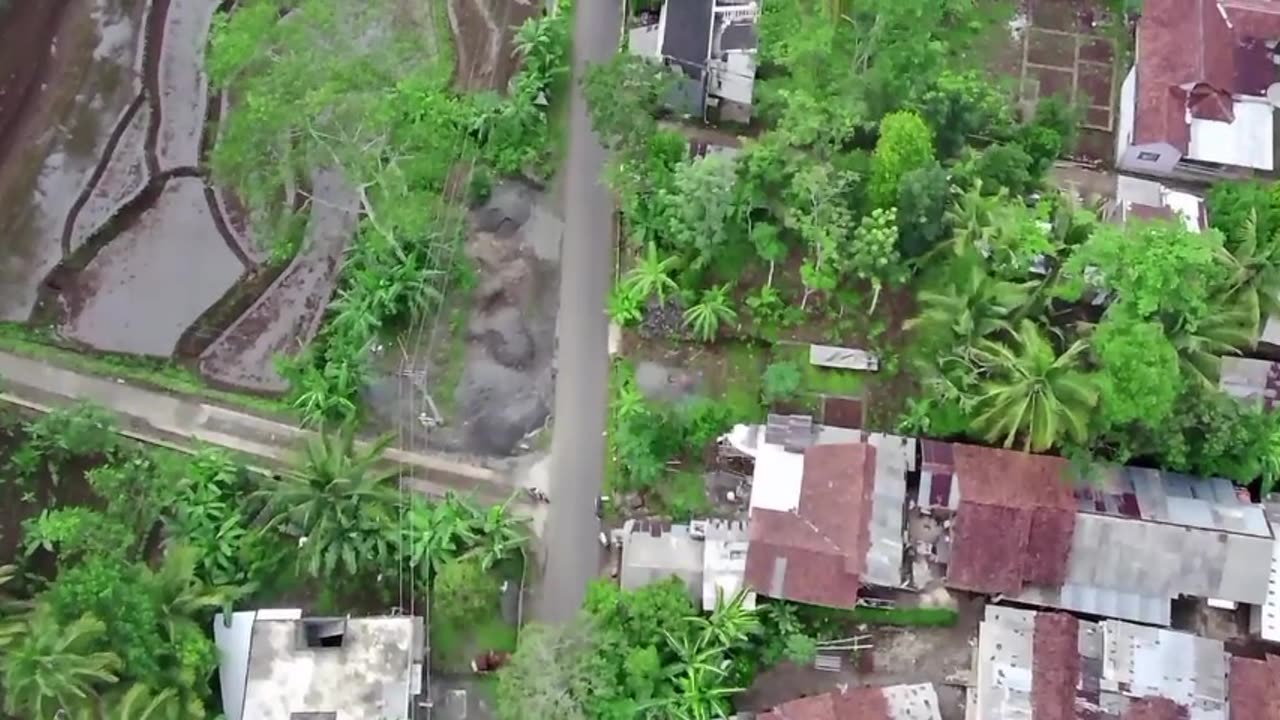 fly leisurely over rural villages
