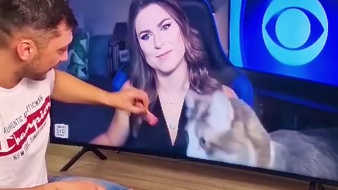 Entertainment video