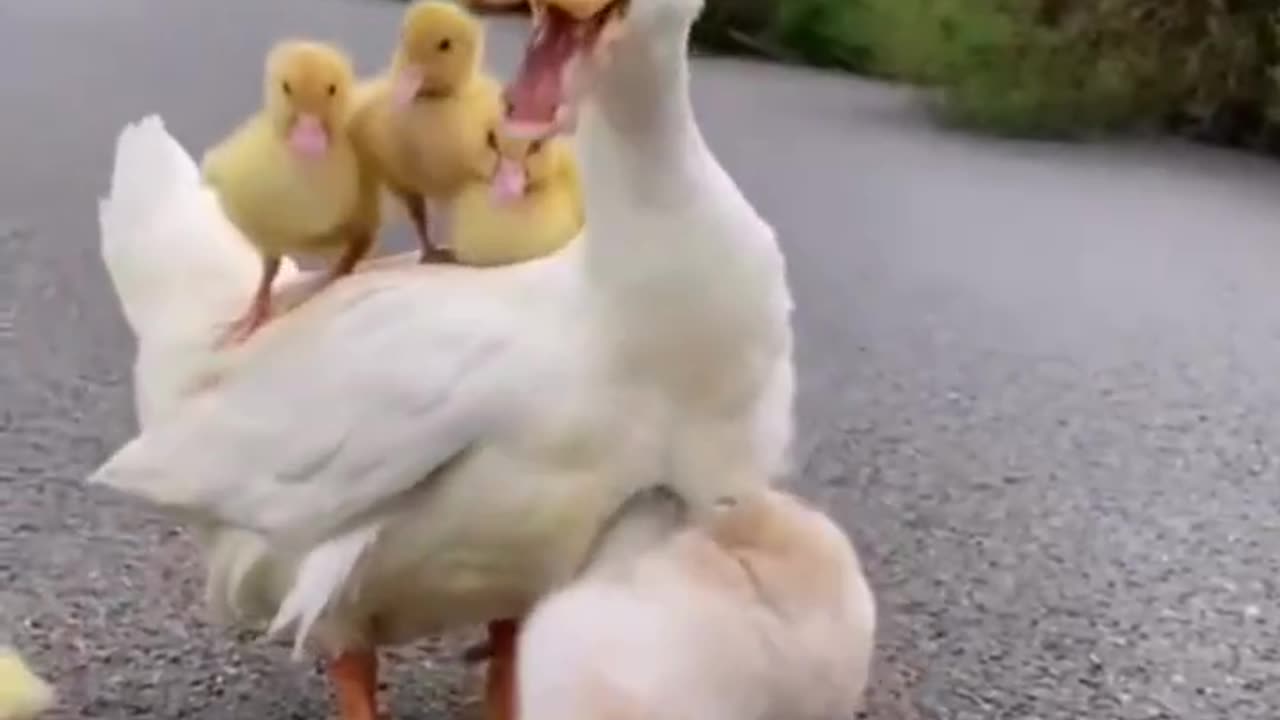 They are best friends