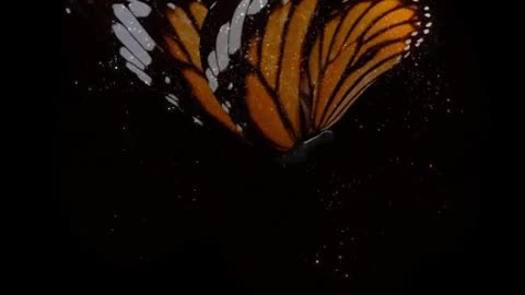flying butterfly - Effects fo led full color