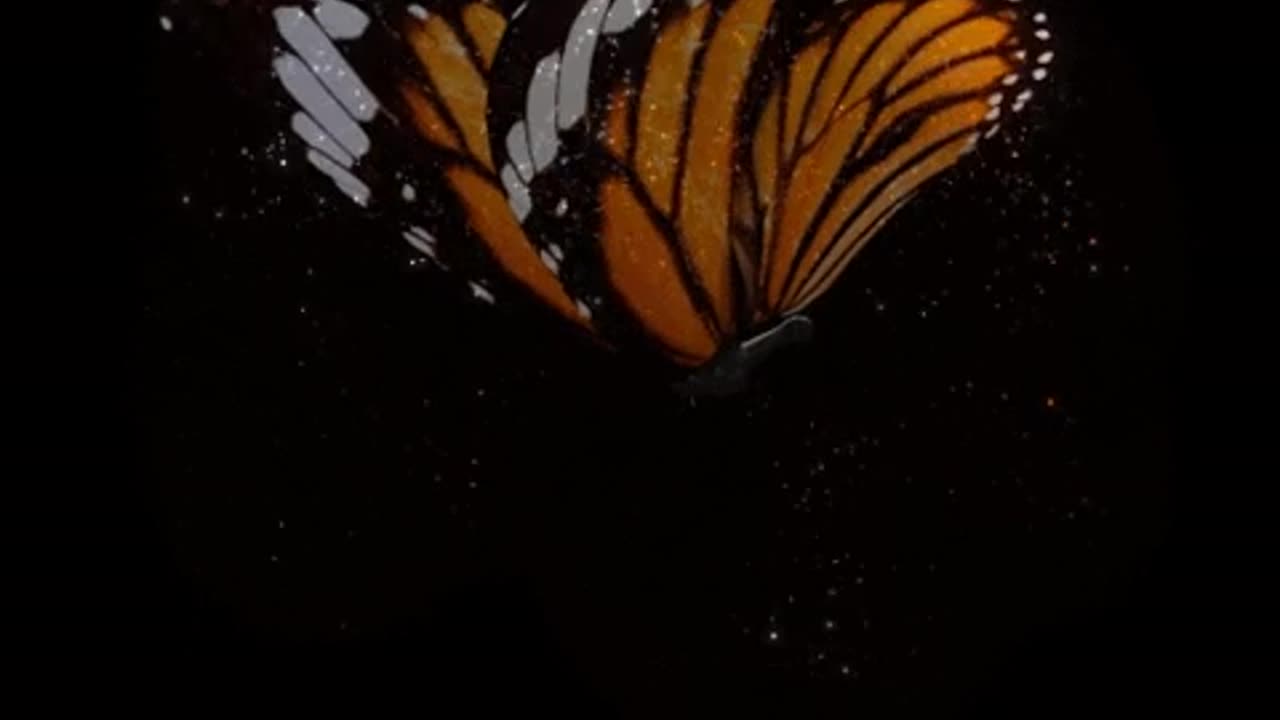 flying butterfly - Effects fo led full color
