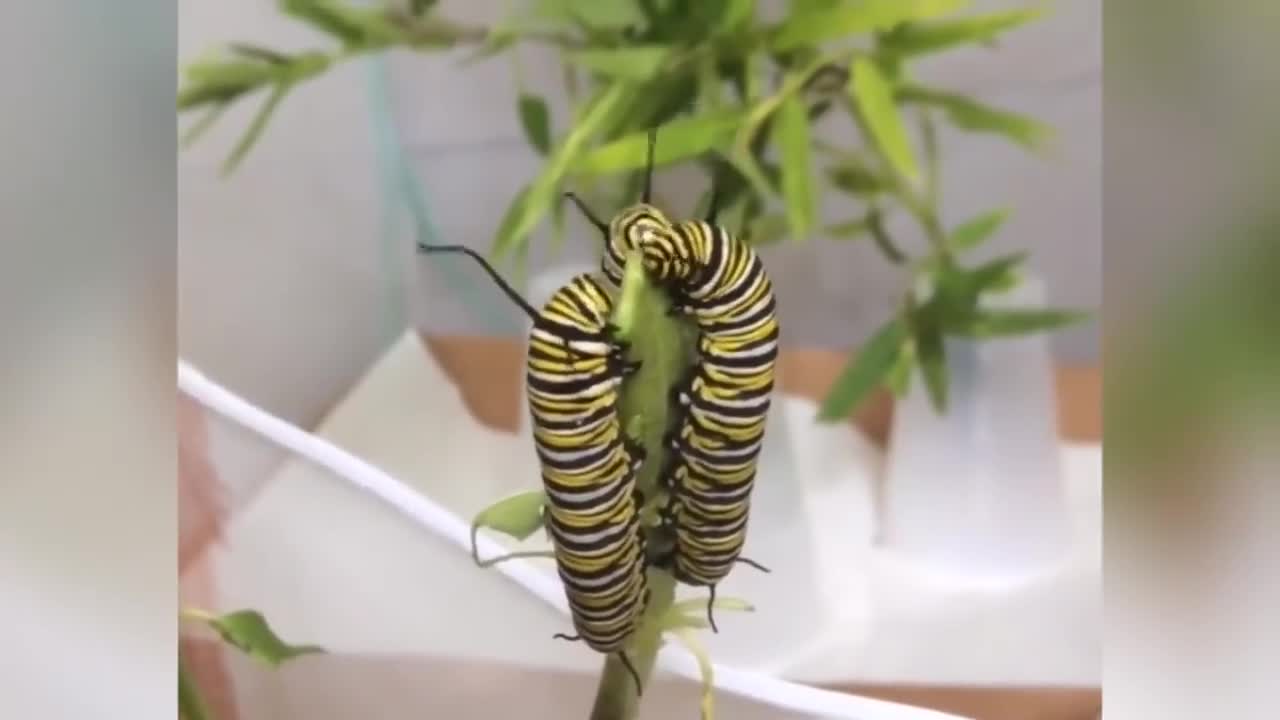 There are thousands of lovely animals
