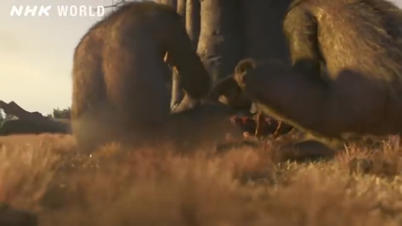 Dawn of the stone Age- out of the cradle NHK Documentary.