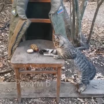 instructions on handling a grenade are successfully failed