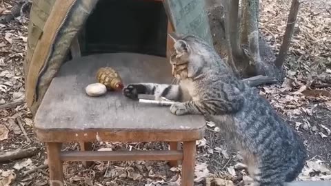 instructions on handling a grenade are successfully failed