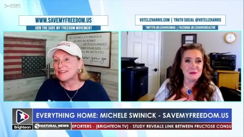 Liz Harris on Ethics Hearing Backstory - Finchem and Rapacki