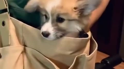 You must be a frien