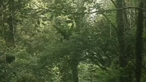 NATURE REPLACE BY BUILDINGS.