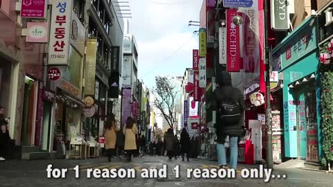 Korean Food Binge in SEOUL