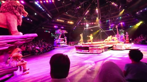 "Experience the Festival of the Lion King at Disney's Animal Kingdom!" #pov