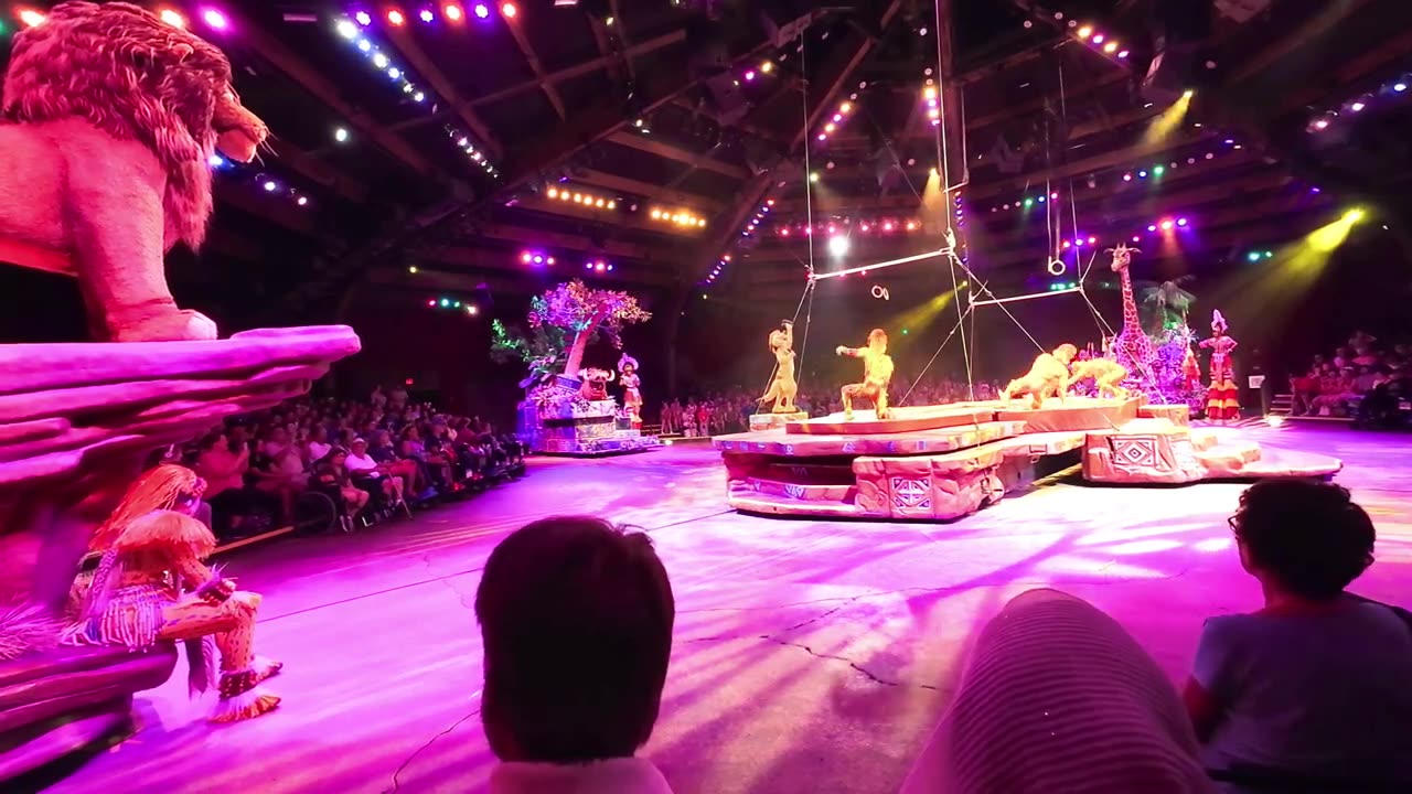 "Experience the Festival of the Lion King at Disney's Animal Kingdom!" #pov
