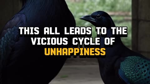 Lesson of the Day- Be Content