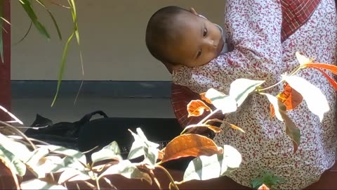 The baby is in the garden, relaxing until he falls asleep