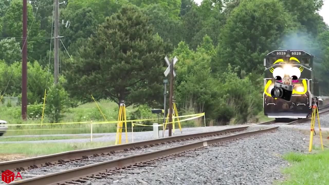 Accidentes Ferroviarios Recopilatorio