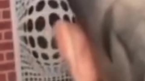 Tendência ???