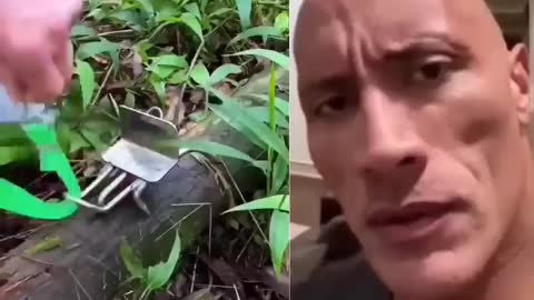 The Rock #satisfying #shorts #reaction