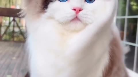 So cute 😍