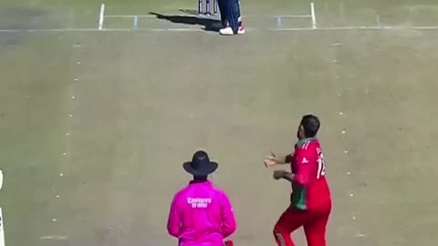 Cricket entertainment