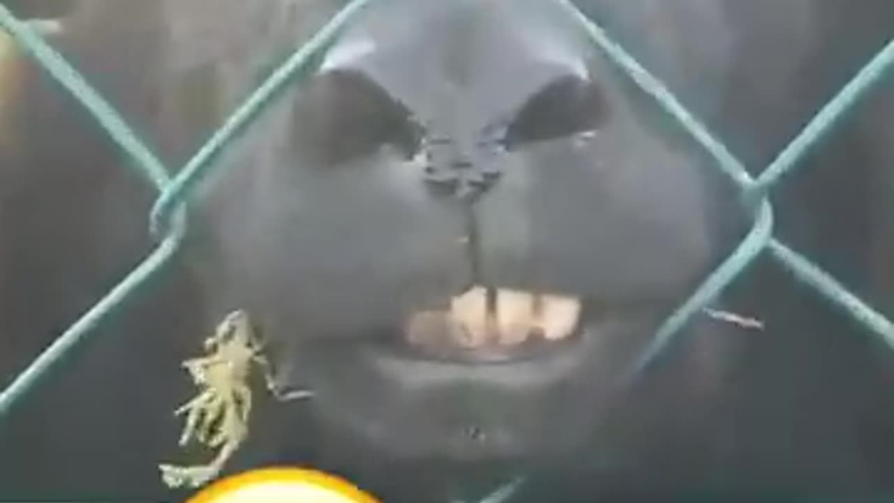 If you laugh, you restart part 6