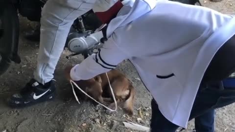 funny fails vidéos best videos 2023