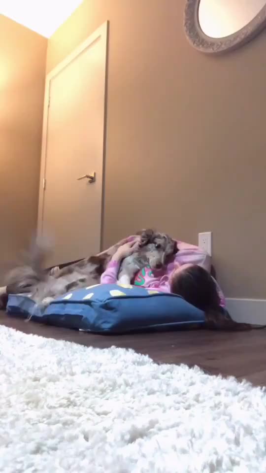 Lay on your dog’s bed and see how they react.. 😊
