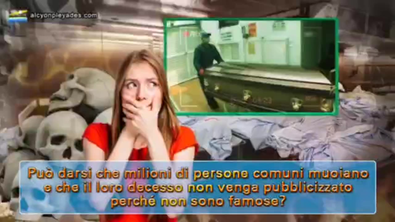 A video they will NEVER show you on television