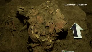 Early human remains reshape migration views