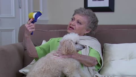 Dog Similar To The Owner