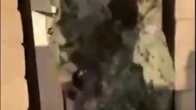 Military Coming Home Tiktok Compilation