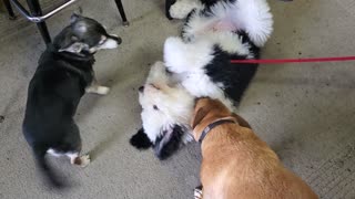 Jack and Eddie getting George