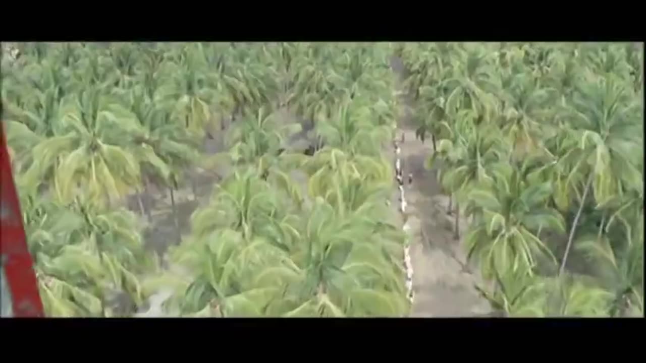 Africa Blood and Guts 1966 (Africa Addio) - South Africa_ MUST SEE DOCUMENTARY!