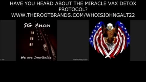 SG Anon w/ Patriot Underground Latest Intel