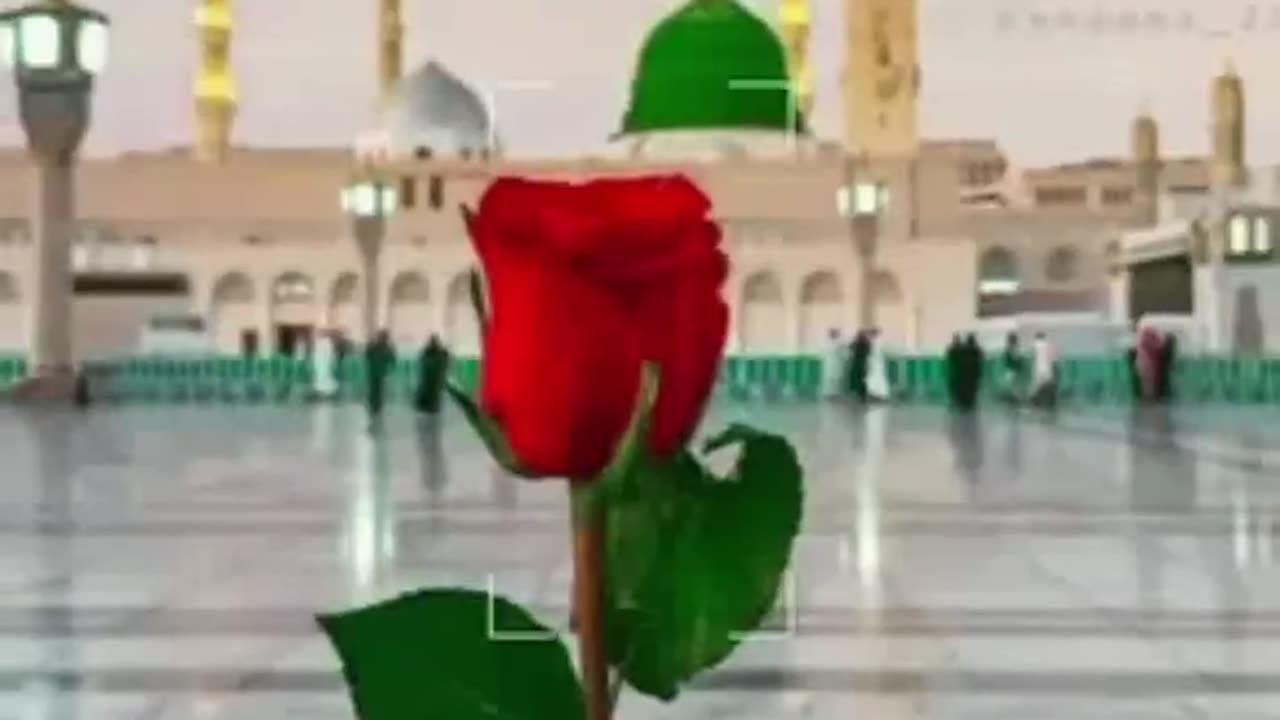 Islamic statuz