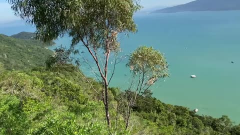 10/19 - Explorando a Trilha do Morro do Macaco em Bombinhas: Uma Experiência Imersiva! #bombinhas
