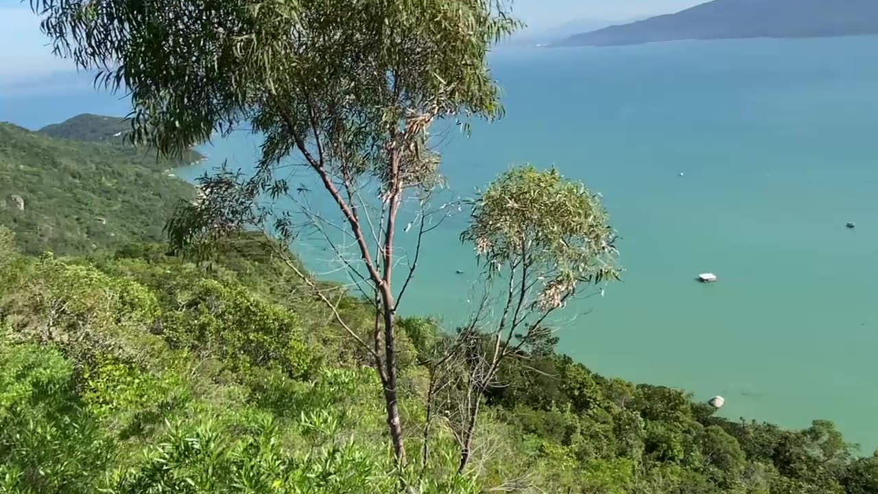 10/19 - Explorando a Trilha do Morro do Macaco em Bombinhas: Uma Experiência Imersiva! #bombinhas