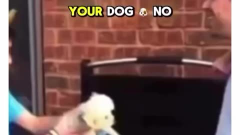 Then you put your dog 🤣🤣