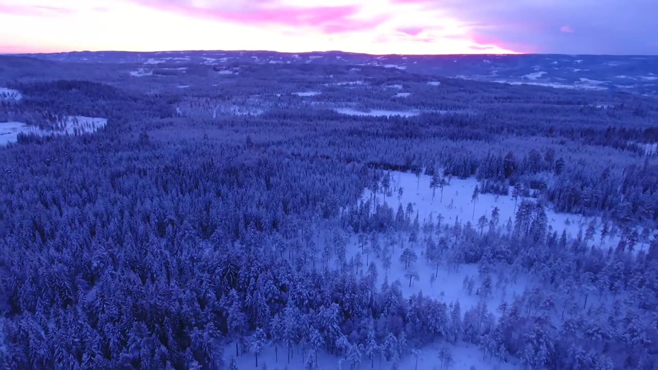 【4K】 Snowfall Winter | Free Stock Footage | NEW
