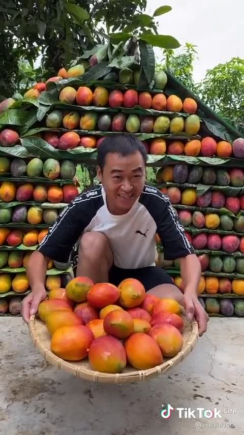 Vegetable and fruits