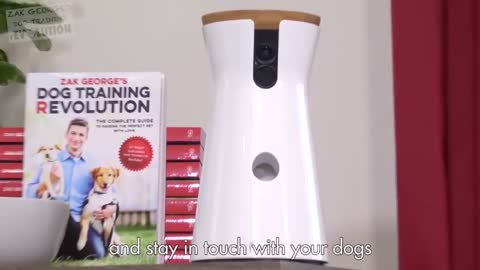 Zag George's dog training x furbo dog camera