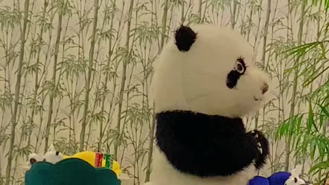Panda 🐼