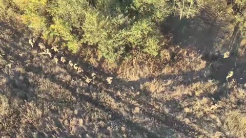 Começou a Rendição da Ucrânia 06/10/23