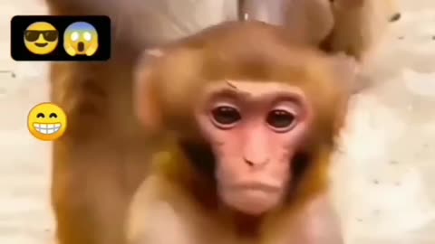 New funny video #rumbleshorts#rumblevideo#funnys#comedy