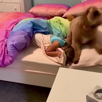 If you have like this dog 🐕 no need to alarm ⏰ Joy Funny Factory
