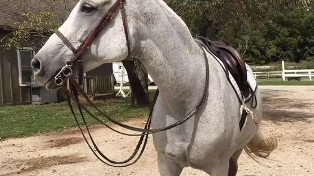 Happy time for the little animals 514861163