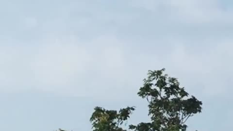 UFO cloaking?
