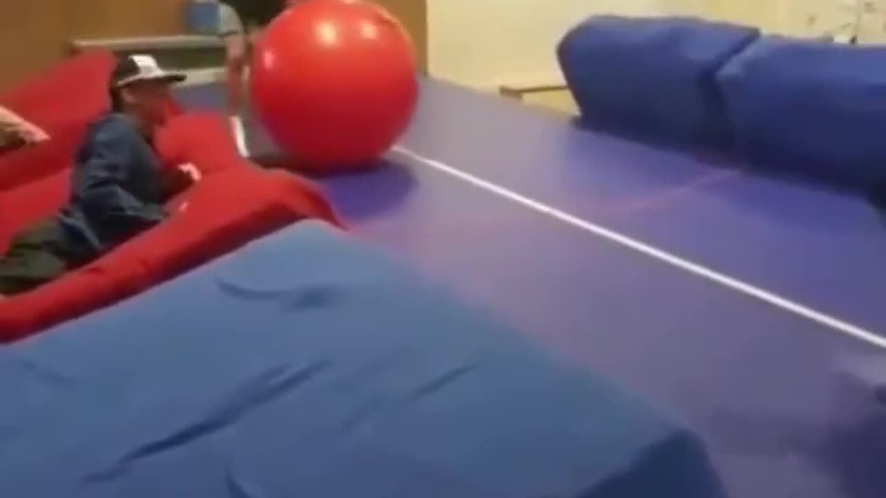 funny videos
