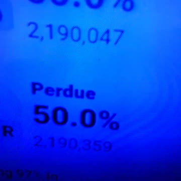 INTERNATIONAL WIDE ELECTION FRAUD VOTING MACHINE CRIME, GEORGIA RUNOFF SHAM ELECTION CRIME 301