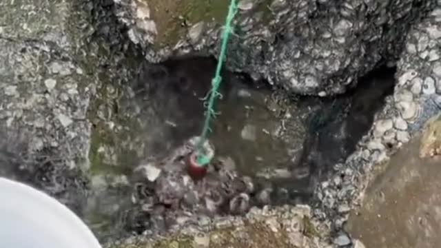 this is awesome, whats on the string