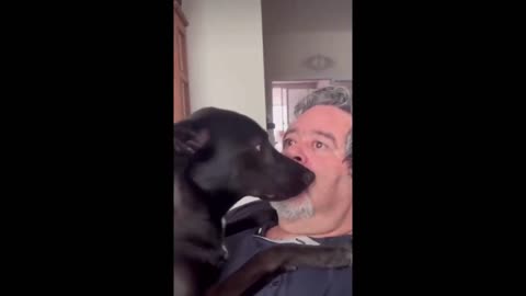 Funny Animal Video 2024 | Try Not to Laugh